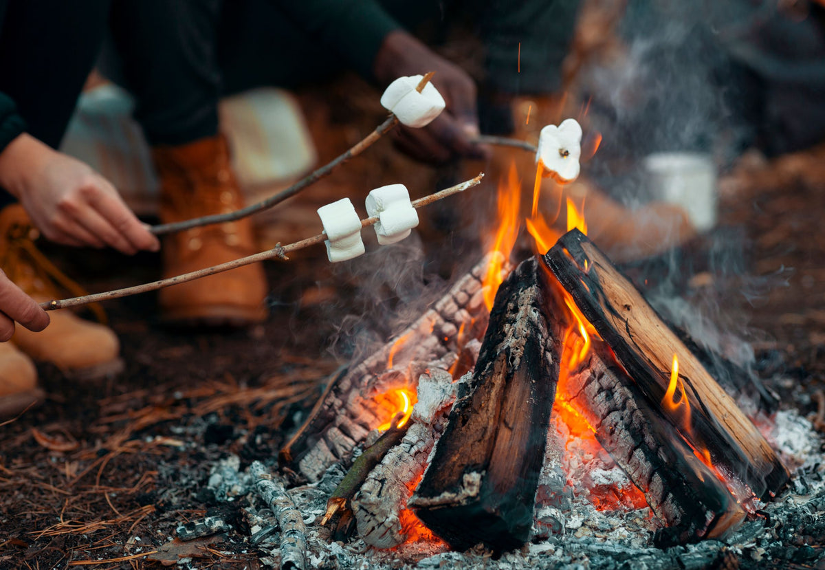 Camping Mont-Plaisant